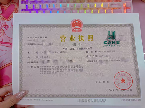 普通合伙人權利義務詳解