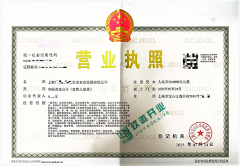 2025注冊上海公司需要多少錢?流程是什么?