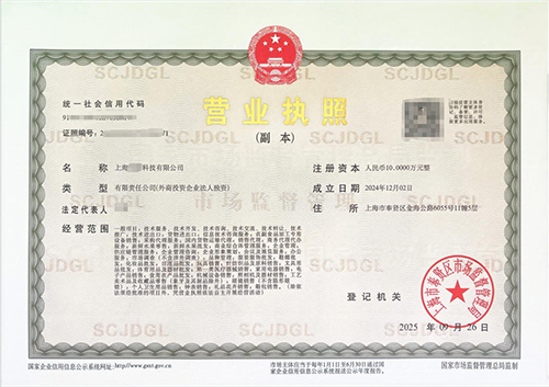 上海注冊公司如何選擇公司類型?創(chuàng)業(yè)者必讀指南